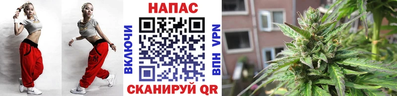 что такое наркотик  Малая Вишера  Каннабис SATIVA & INDICA 